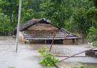 Flood in Kanchanpur