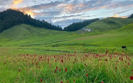 Khaptad National Park-Stunning but Struggling for Tourists