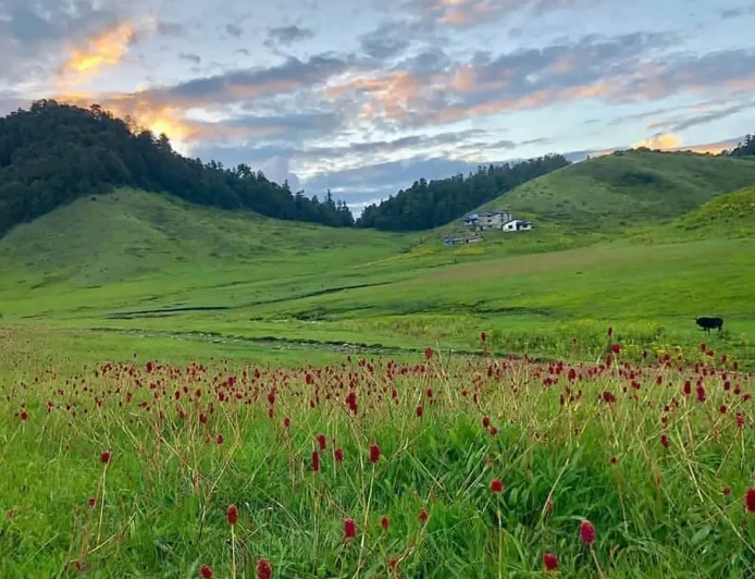 Khaptad National Park-Stunning but Struggling for Tourists