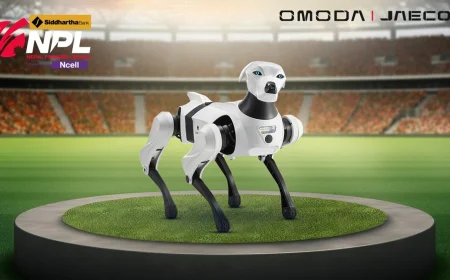 In NPL-2, you can now interact with a robot dog!