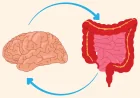How Gut Health Influences Your Mind: The Gut-Brain Connection