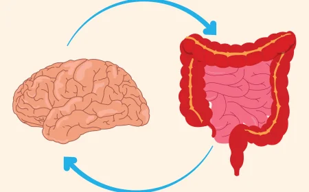 How Gut Health Influences Your Mind: The Gut-Brain Connection