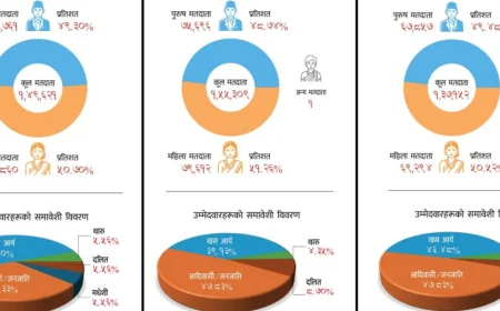 Chitwan Election Highlights: Female Voter Majority, Male Candidates Dominate