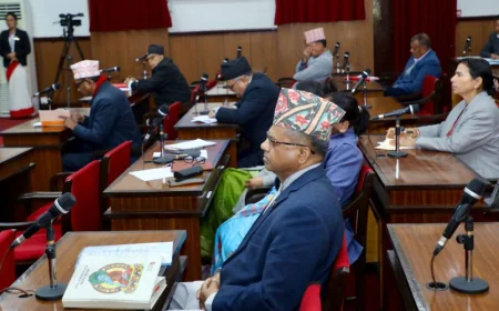 National Assembly Returns Social Media Bill