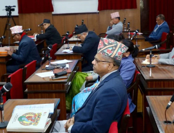 National Assembly Returns Social Media Bill