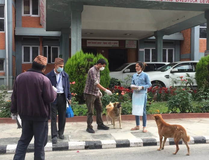 Controversy as Government Plans to Remove Dogs from Singh Durbar