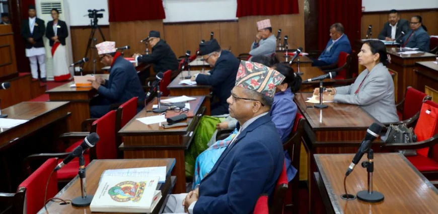 National Assembly Returns Social Media Bill