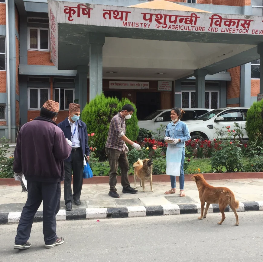 Controversy as Government Plans to Remove Dogs from Singh Durbar
