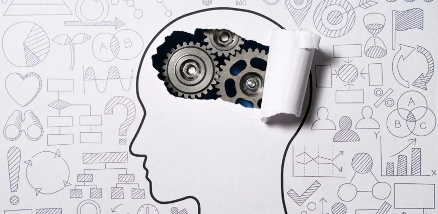 The Skill Everyone Needs to Learn: Critical Thinking in the Age of Information